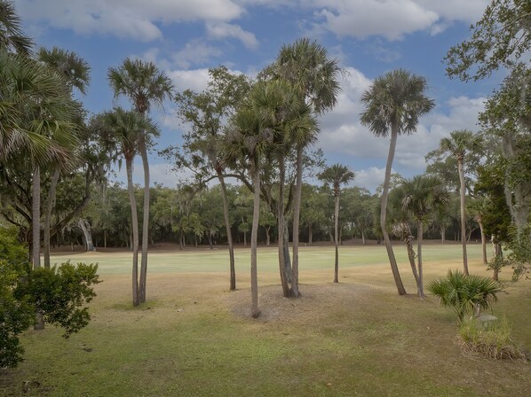 Um campo de golfe com altas palmeiras e um céu claro.