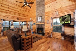 电视、壁炉、电子游戏、立体声音响