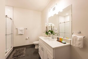A modern bathroom with a glass shower enclosure, a toilet, a sink with a mirror, and a small potted plant. - Fresh, Sleek, and Contemporary Executive Apartment (Rochester)
