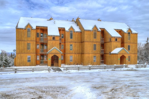 South Branch Condo 13-1 - Pet Friendly Ski in Ski out condo at Saddleback