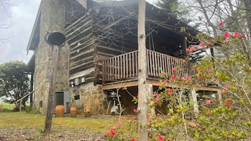 Standalone cabin nestled among trees, offering a peaceful retreat.