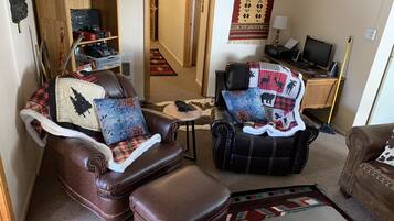 TV, fireplace, computer monitors, printers