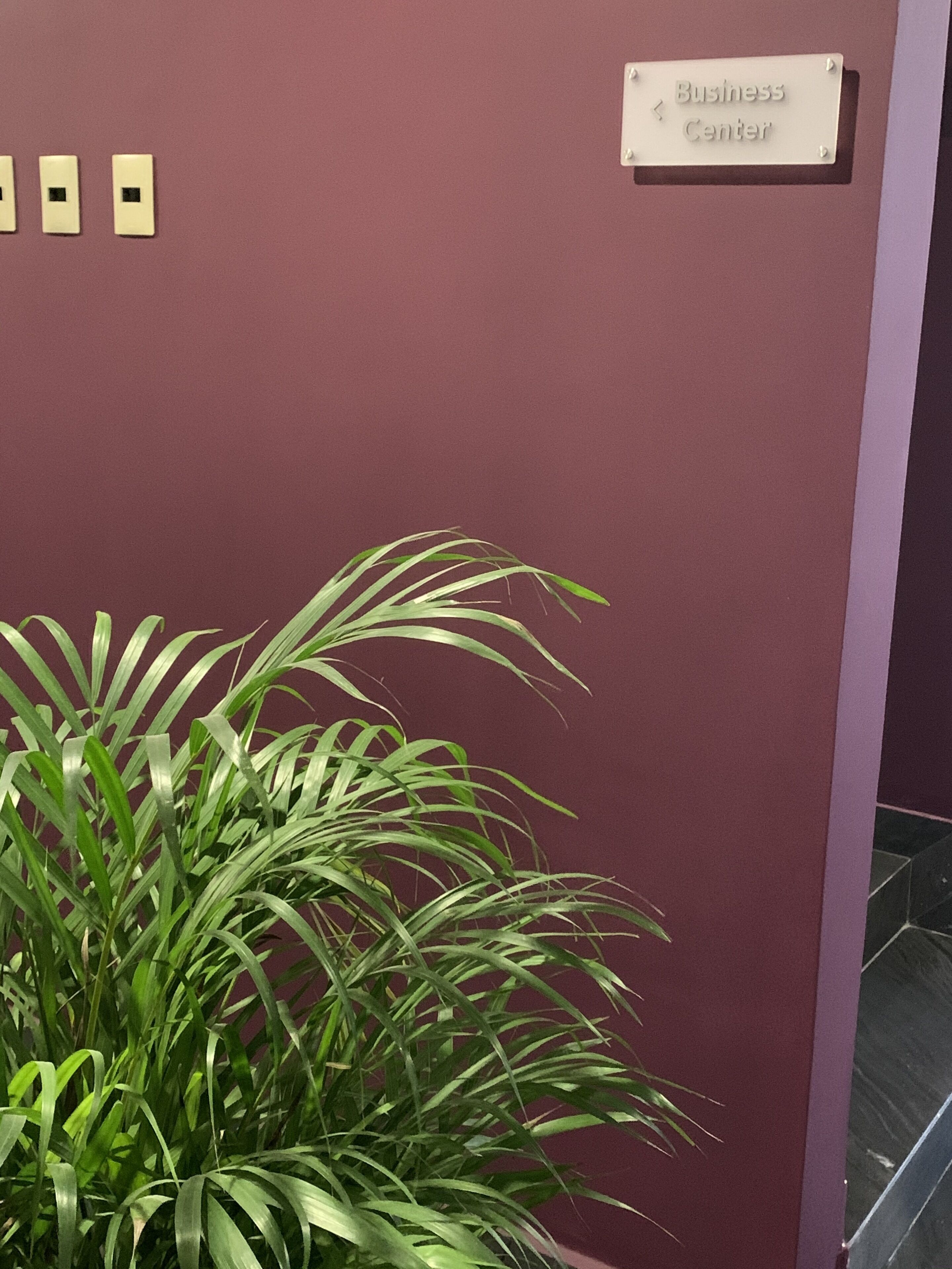 A wall with a sign reading "Business Center" and three light switches.