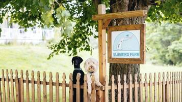 Property grounds