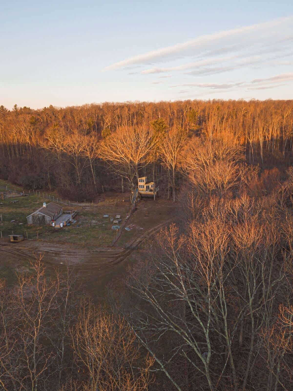 Une zone boisée avec un chalet et un sentier de terre.