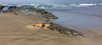 Relax in style at the Catlins Retreat, historic villa in the heart of Owaka