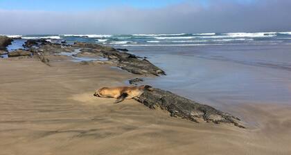 Relax in style at the Catlins Retreat, historic villa in the heart of Owaka