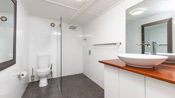 House | Bathroom | Shower