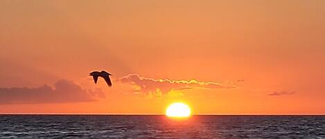 Am Strand, Liegestühle, Strandtücher
