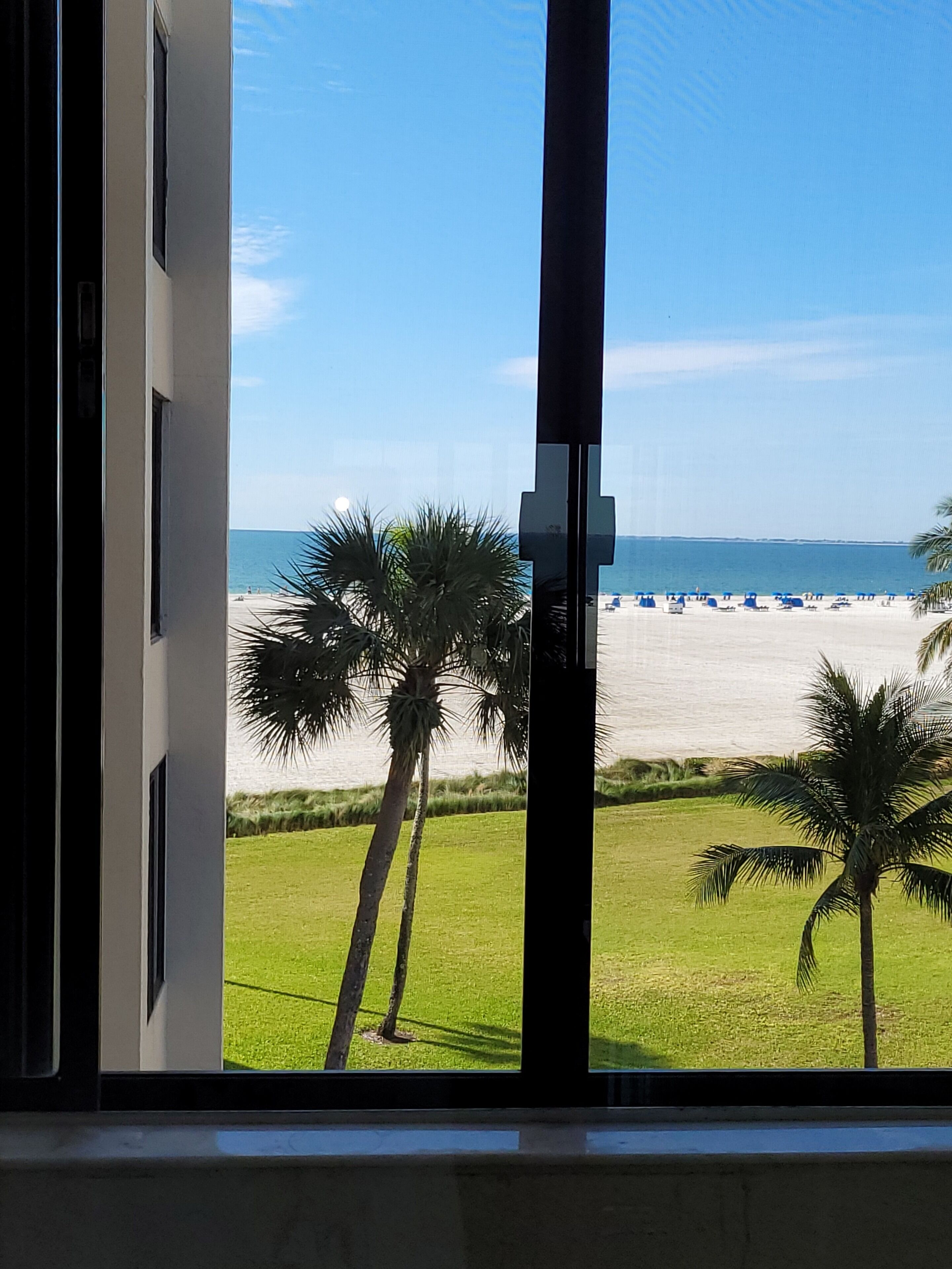 A beach view from a window, including palm trees and a sandy beach.