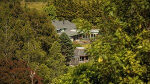 A house surrounded by dense forest. - Woodland Glen Lodge (Hokitika)