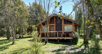Wonderful Rustic Cabin 2, With Native Logs, on the Banks of the Trancura River