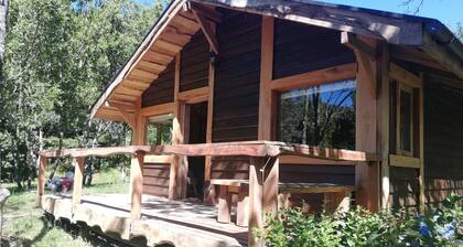 Wonderful Rustic Cabin 2, With Native Logs, on the Banks of the Trancura River