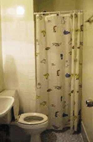 Une petite salle de bain avec des toilettes, un rideau de douche à motifs et un lavabo.