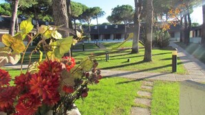 Um parque com parquinho, árvores e um caminho.