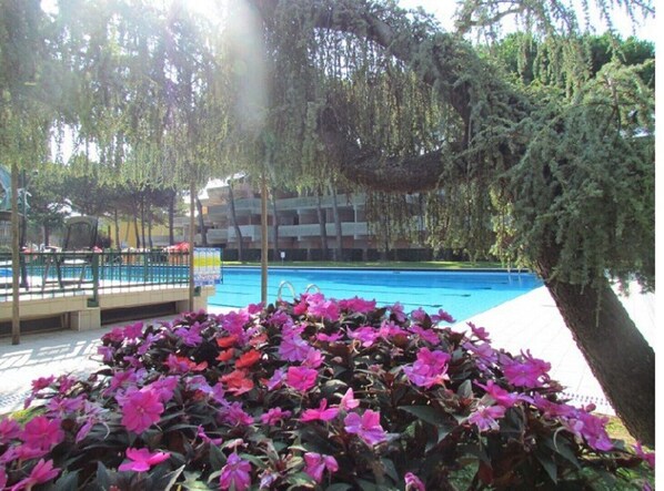 Appartement, 1 chambre | Piscine