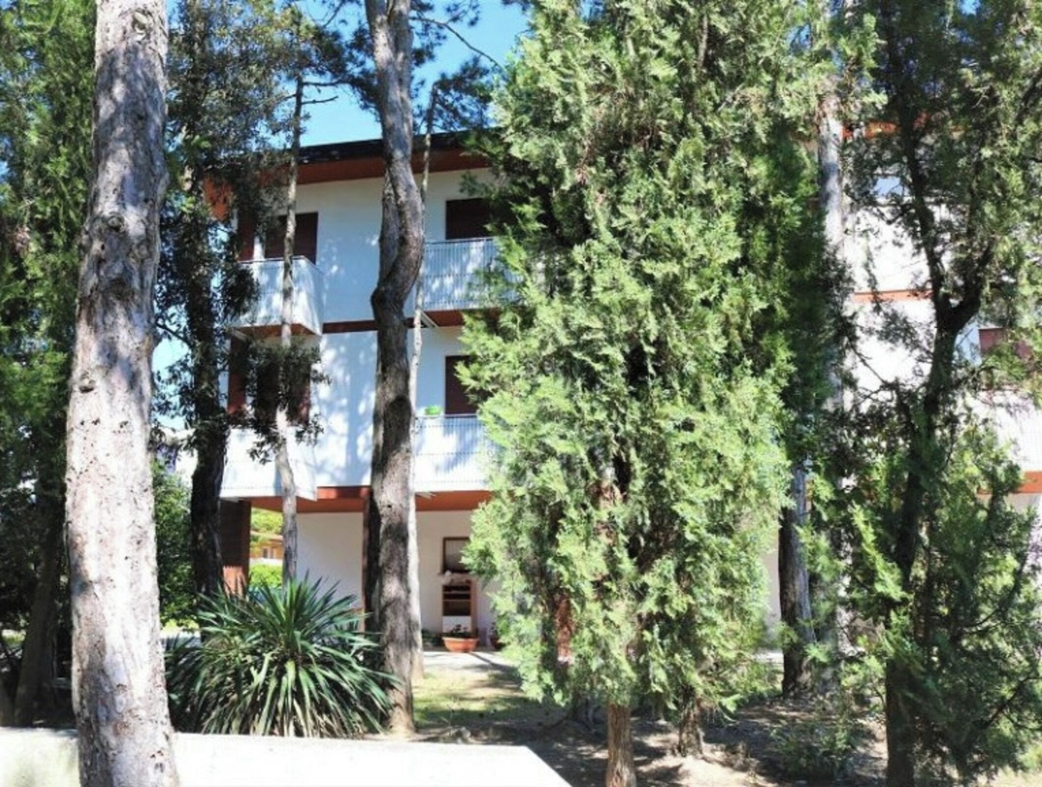 A multi-story building surrounded by trees.