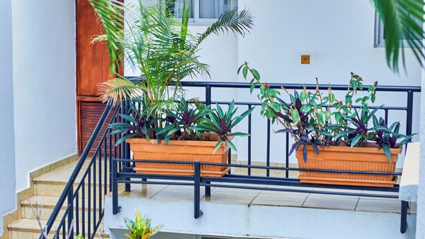 A multi-level building with a staircase, potted plants, and a window.