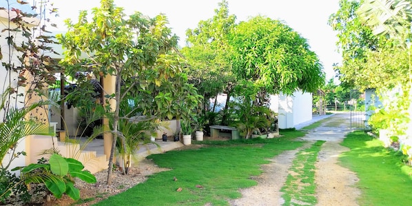 Nhà, 2 phòng ngủ, phù hợp cho người khuyết tật, hồ bơi riêng | Vườn