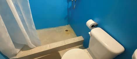 Casa, 2 habitaciones, con acceso para personas discapacitadas, alberca privada | Baño | Toallas, jabón, shampoo