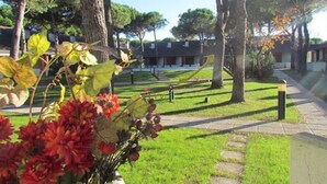 Apartment, 2 Schlafzimmer, Terrasse, Gartenblick | Unterkunftsgelände