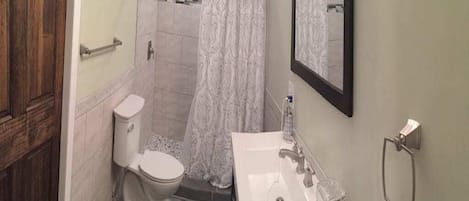 Un baño con inodoro, ducha, lavamanos y espejo.