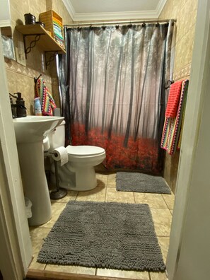 Shower, hair dryer, towels, toilet paper