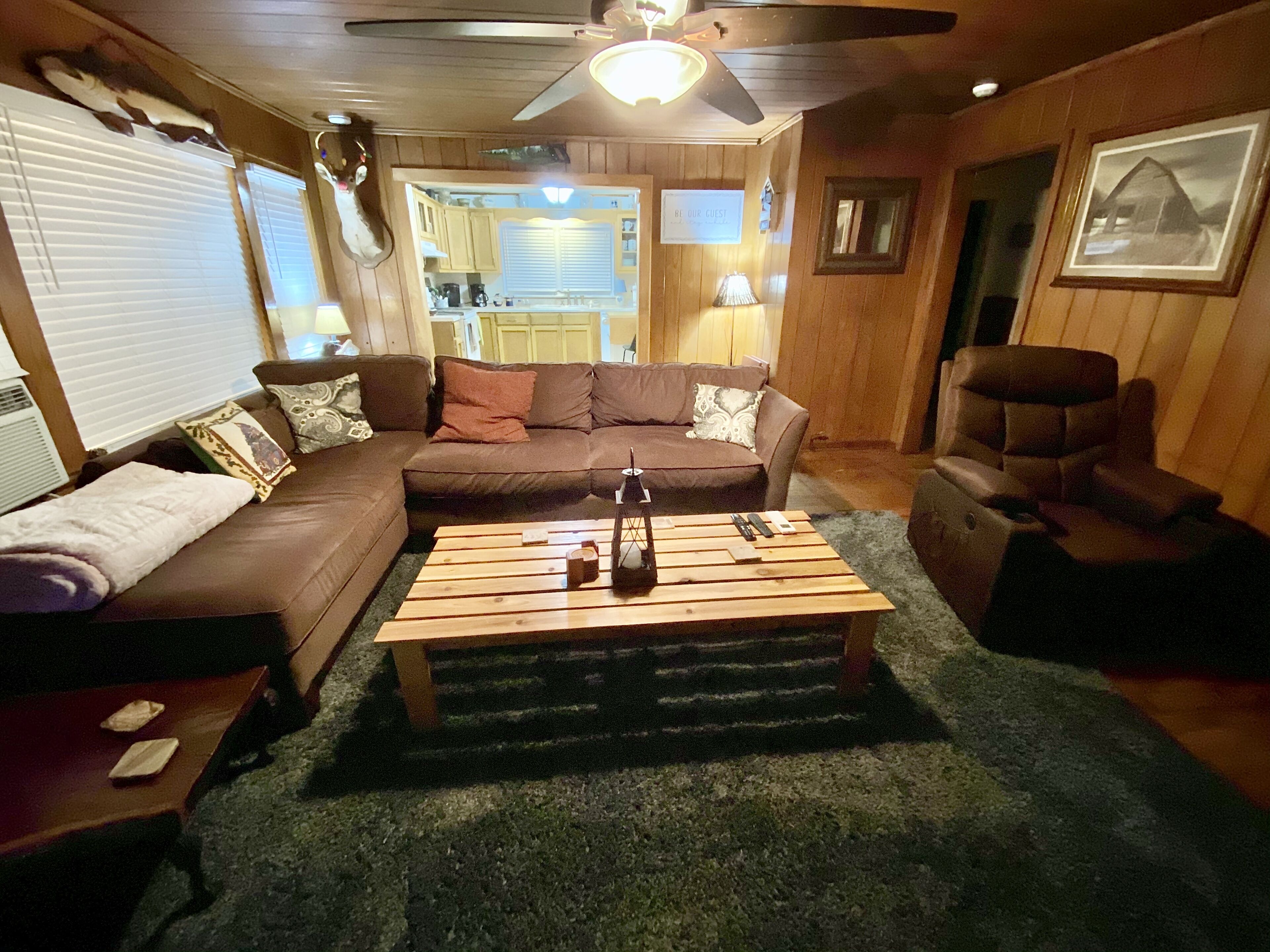 TV, fireplace, books