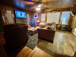 TV, fireplace, books