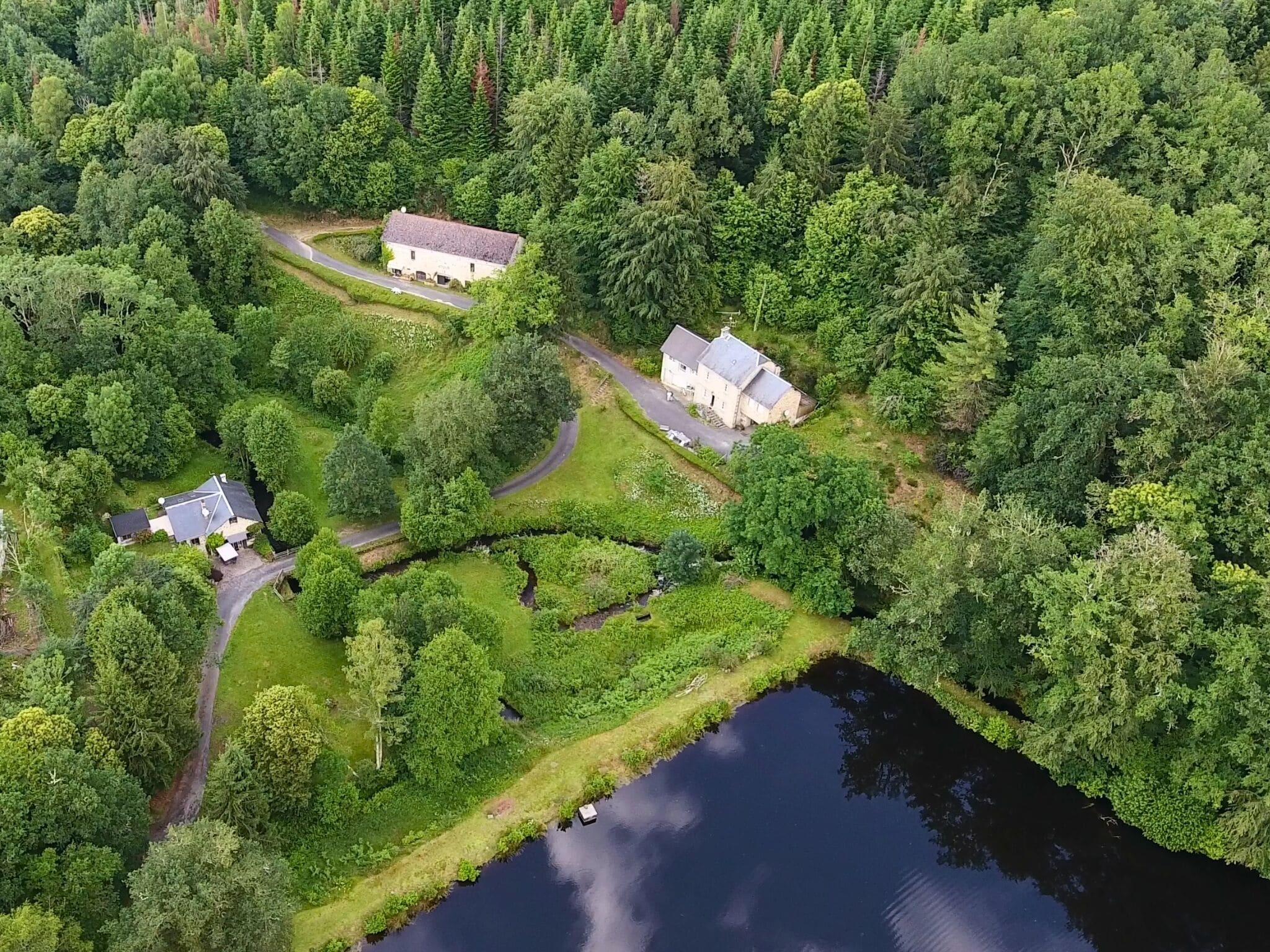 An aerial view of a lakeside property with two houses, a winding road, and dense forest.