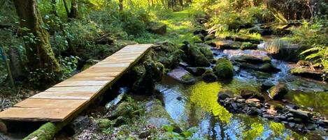 Terrain de lâhĂ©bergement