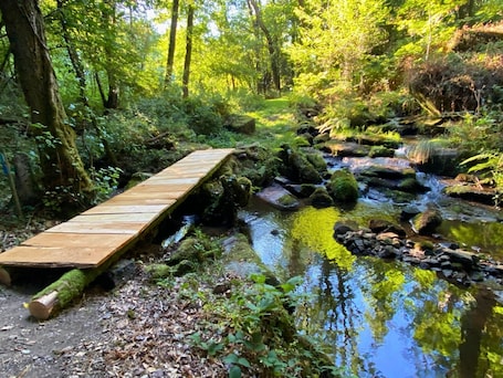 Property grounds. 2-bedroom apartment at the end of the road in the middle of the forest