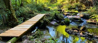 2-bedroom apartment at the end of the road in the middle of the forest