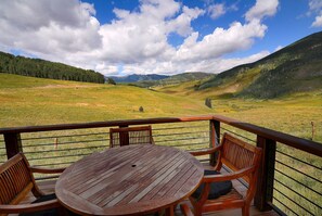 Outdoor dining - Top of the World, Renovated 3 BR, VIEWS! (Crested Butte)