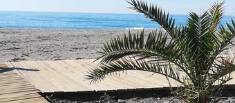 Dunas Jewel - Apartment with beach side terrace