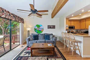 LCD TV, fireplace, video games, streaming services