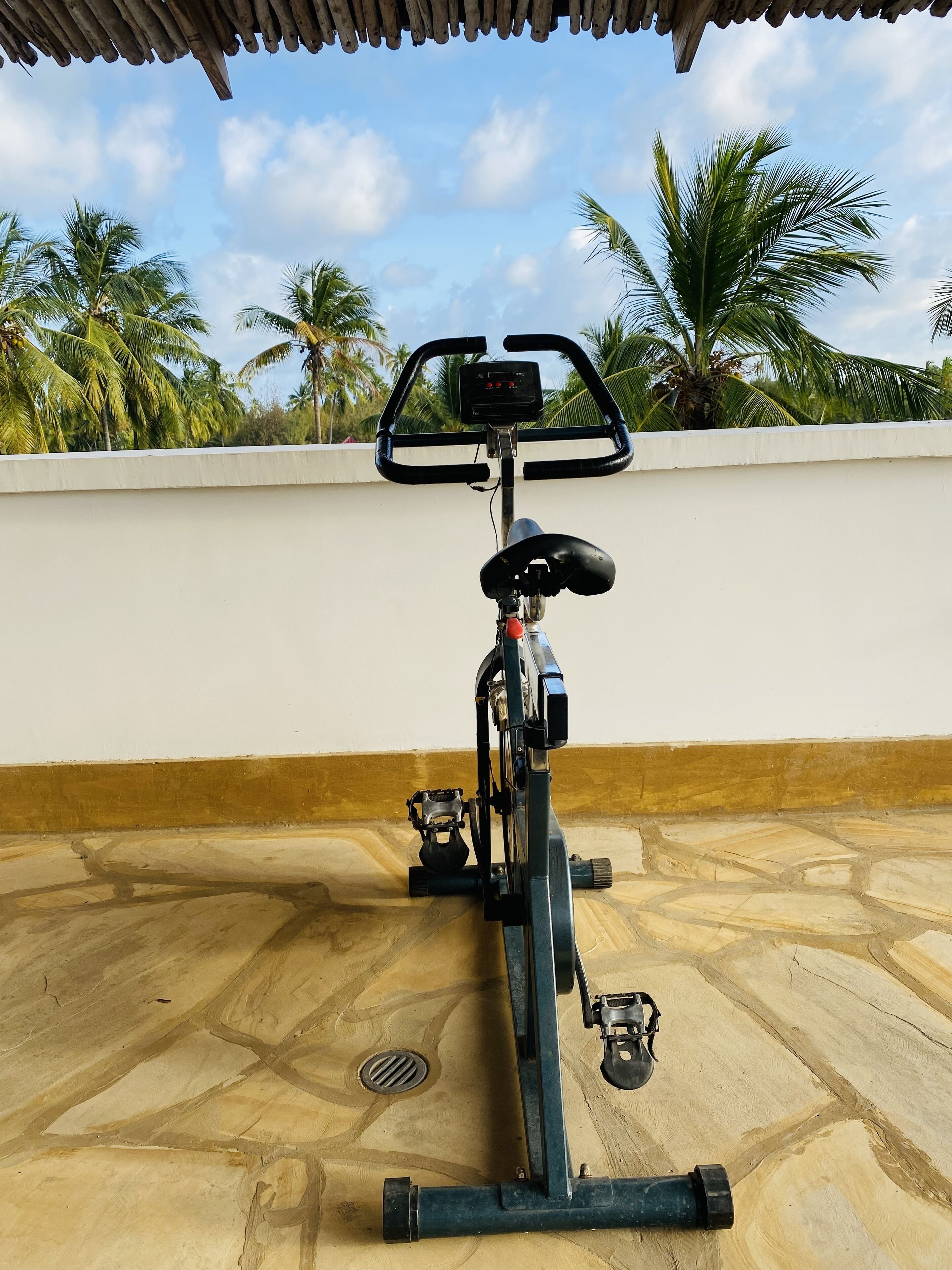 Ein stehendes Fitnessfahrrad auf einer gefliesten Terrasse mit weißer Wand und Palmen im Hintergrund.