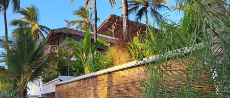 A modern building with a brick wall and lush tropical vegetation.