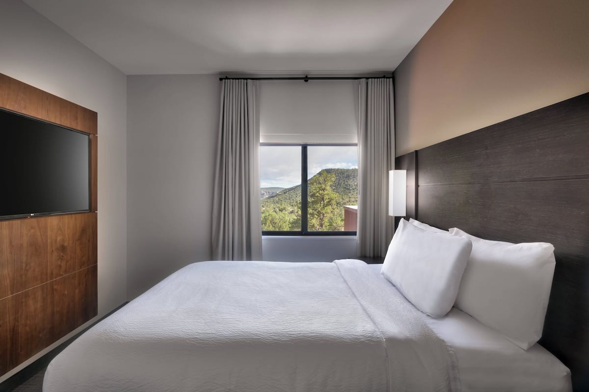 A hotel room with a large bed, a flat-screen TV, a window with curtains, and a view of greenery outside.