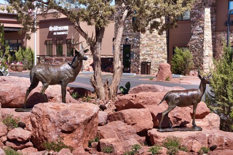 Residence Inn by Marriott Sedona - Image 15