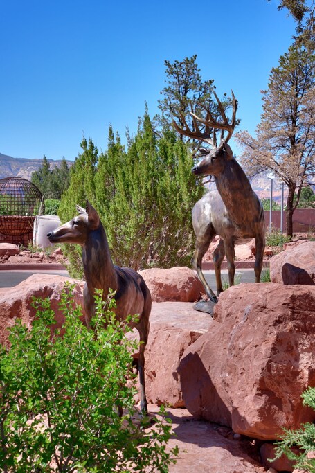 Residence Inn by Marriott Sedona - Image 33