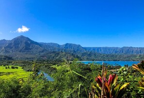 Property grounds - Hale Terra 3br 2.5ba Beautiful Nihilani Condo, Central AC, Pool, Hot Tub (Princeville)