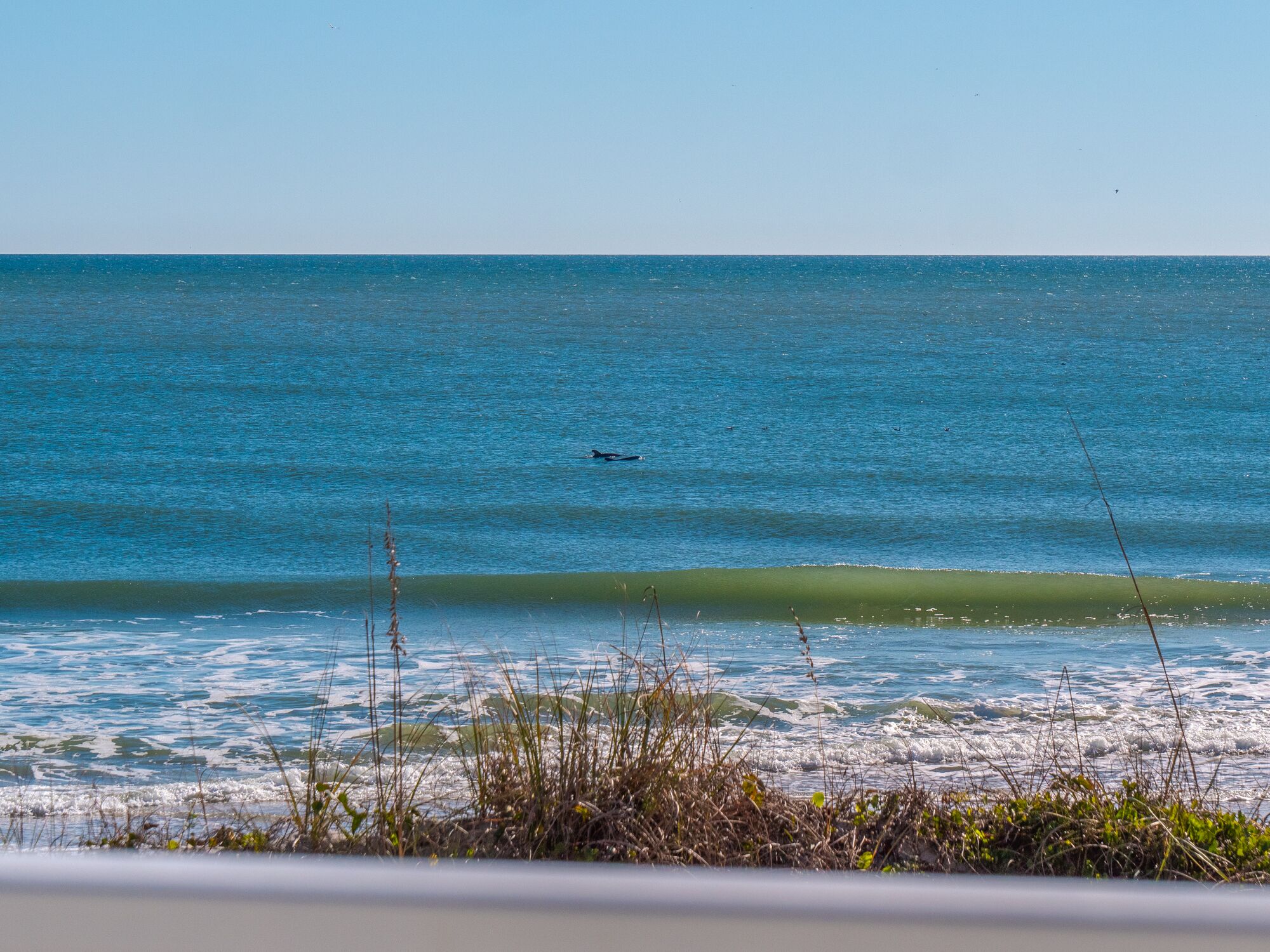 A beach with waves and seaweed in the foreground.