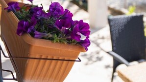 A covered patio area with a wooden chair and a planter with purple flowers. - Studio Apartment with jaccuzzi (Kaštel Novi)