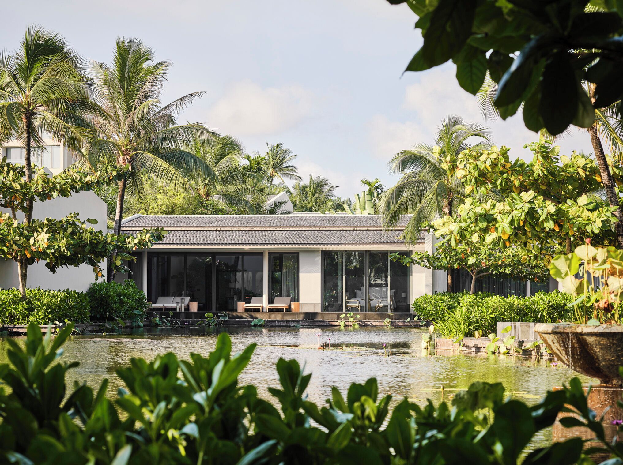 Une maison moderne avec une piscine, entourée d’une végétation luxuriante et de palmiers.