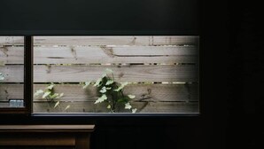 A window with a view of a wooden wall and some greenery. The text "Union Street" is visible above the window. - Union Street (Castlemaine)