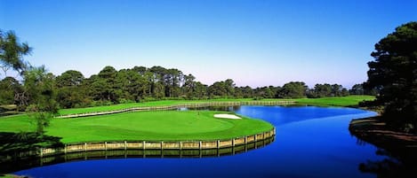 Een golfbaan met een vijver, omringd door bomen en een helderblauwe lucht.