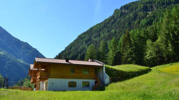 Esterni