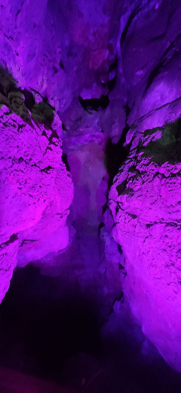 منوع