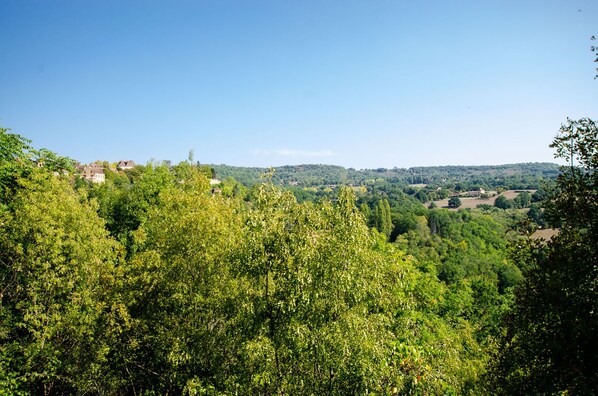 A lush green landscape with a clear sky. - Unusual gîte, Le Troglodyte with panoramic view (Domme)